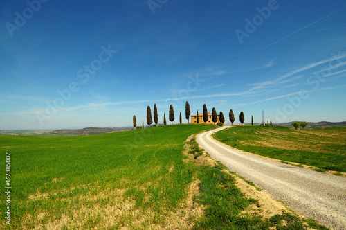 Farmhouse  Villa i Cipressini  in Tuscany on a hill with cypress trees green fields and white road in Pienza  Valdorcia  Orcia Valley   Italy.
