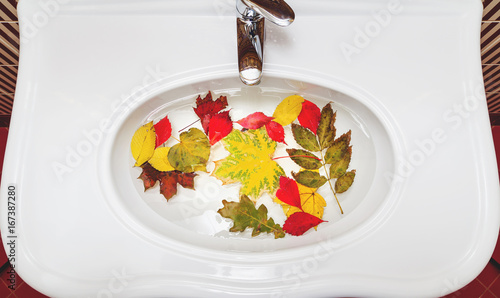 Autumn still life in bathroom. Wash leaves, crane