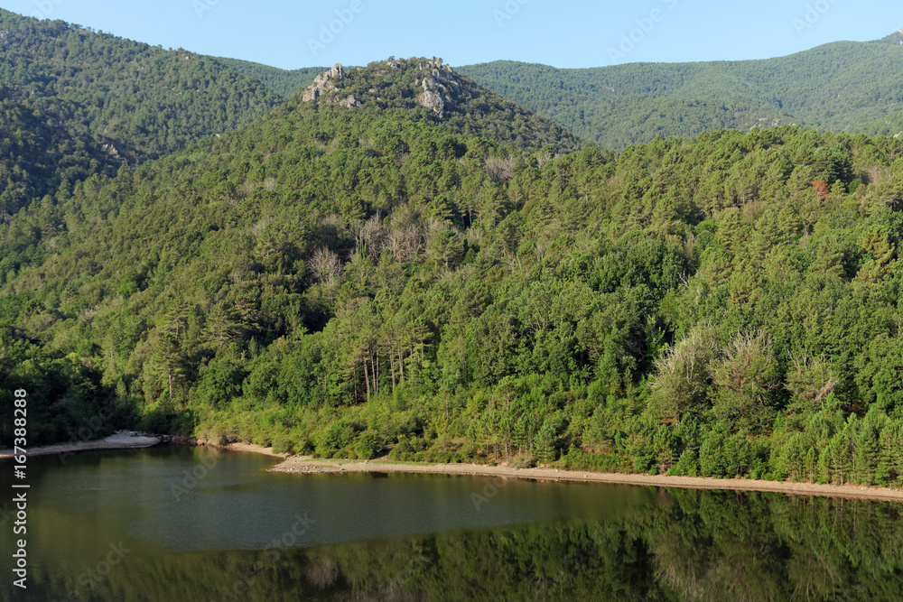 Forêt et lac de Sampolo en Corse