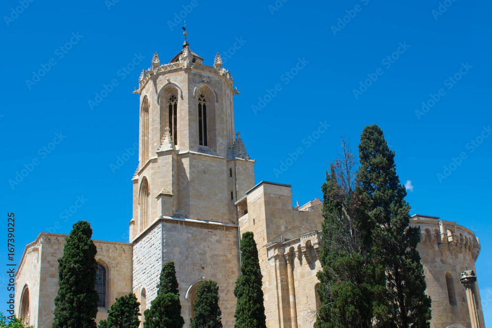 the cathedral in tarragona