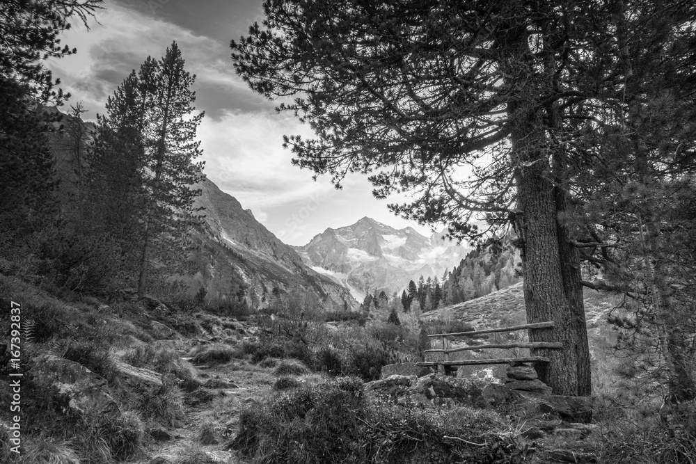 Rastbank aus Holz in den Österreichischen Bergen in schwarz weiss