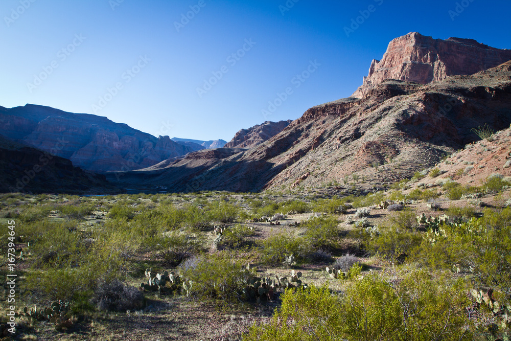 Landscape of Granite Park, Grand Canyon National Park, Arizona