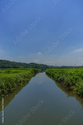 夏の鹿島川の風景