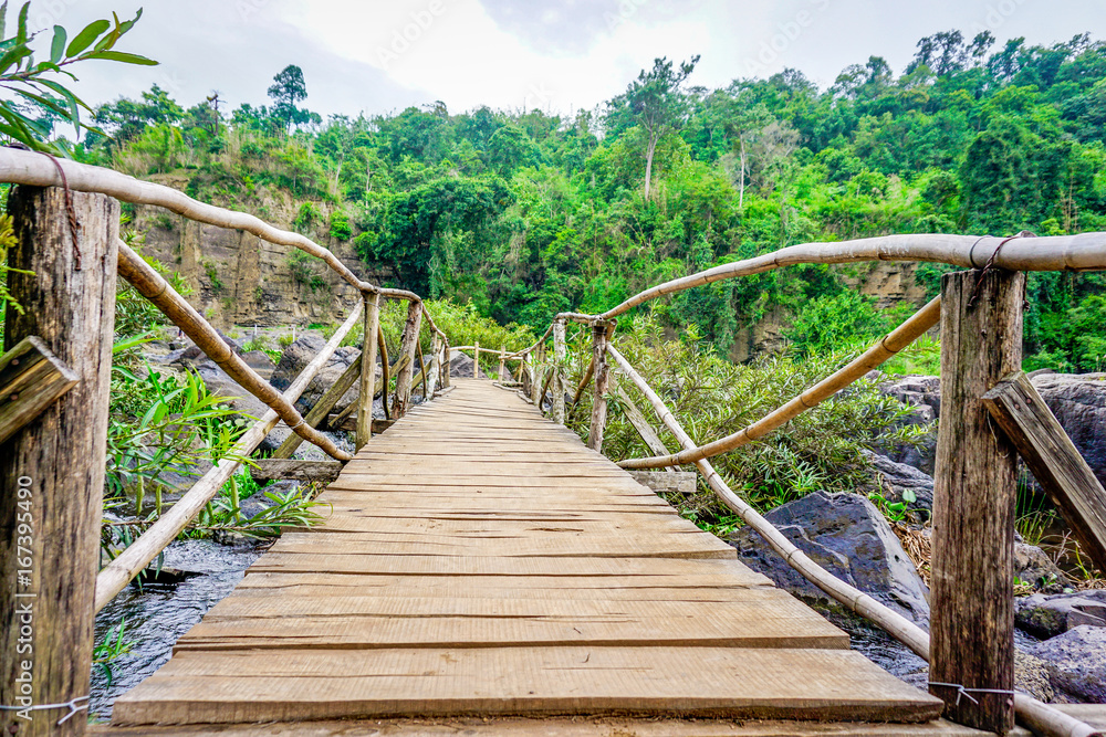 Obraz premium The wood bridge in the forest