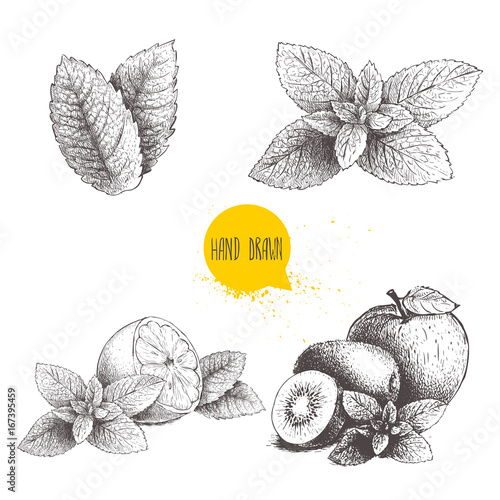 Hand drawn sketch style mint illustrations set. Mint leafs, lemon or lime fruit with peppermint, apple, kiwi fruits with mint leafs. Herbal healthy product collection isolated on white background.
