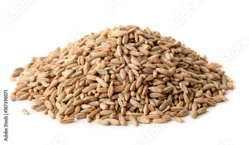 Pile of rye grains photo
