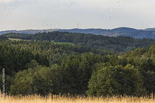 landscape maerkischer kreis germany photo