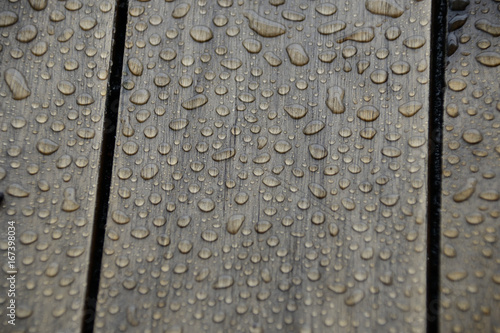 Raindrops on Wood