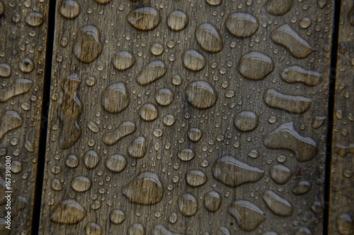 Raindrops on Wood