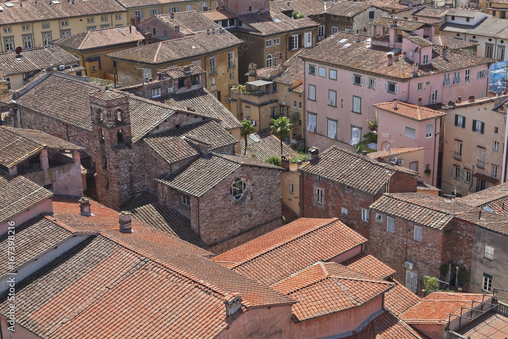 Toskana-Impressionen in Lucca, Blick vom Torre Guinigi auf die Altstadt