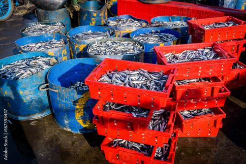 Group of fresh fish in the market
