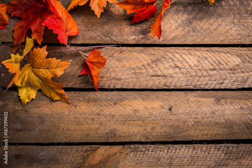 Bunte Herbstblätter photo