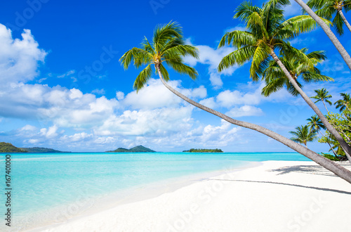 Fototapeta Naklejka Na Ścianę i Meble -  Sommer, Sand und Strand auf einer tropischen Insel