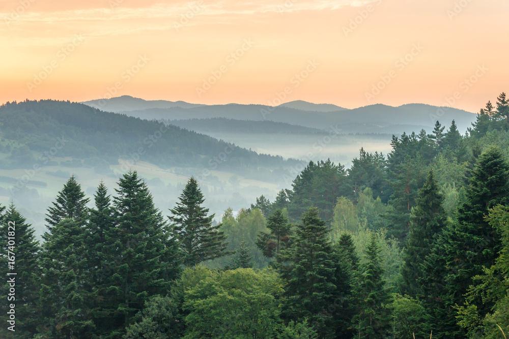 Fototapeta premium Sunrise in Ustrzyki Dolne. Mieszczady mountains.