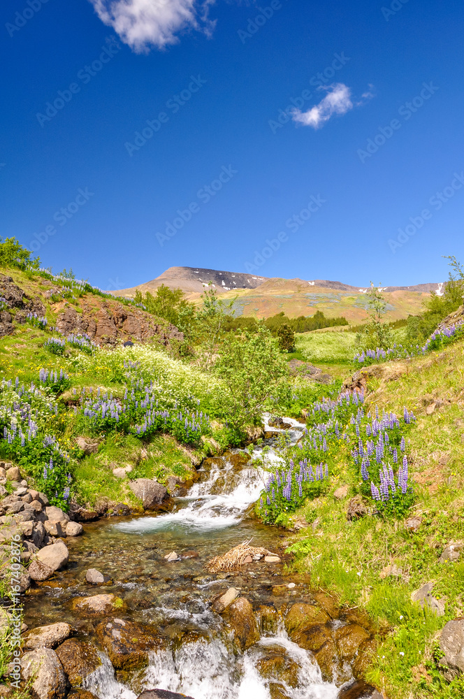 stunning Icelandic summer landscape with a beautiful mountain river in the Esja mountain range, 10 km north of Reykjavik, the capital of iceland. Sunny day and flourishing landscape. 