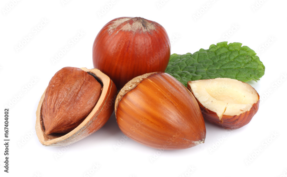hazelnuts with green leaf isolated on white background hazelnuts with green leaf isolated on white background