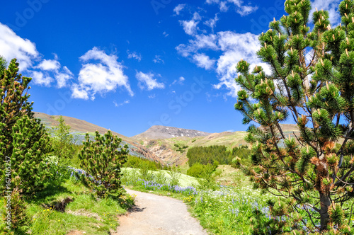 Stunning Icelandic summer landscape with a beautiful hiking trail in the Esja mountain range, 10 km north of Reykjavik, the capital of iceland. Sunny day and flourishing landscape. Southwest Iceland.