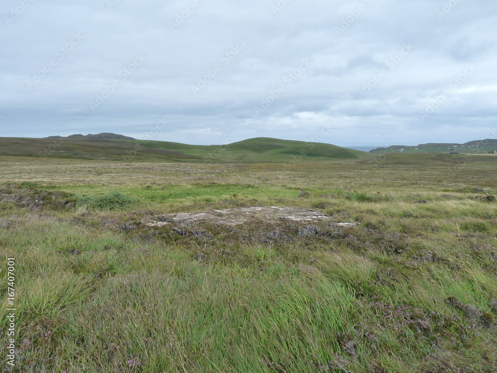 bogland bogland