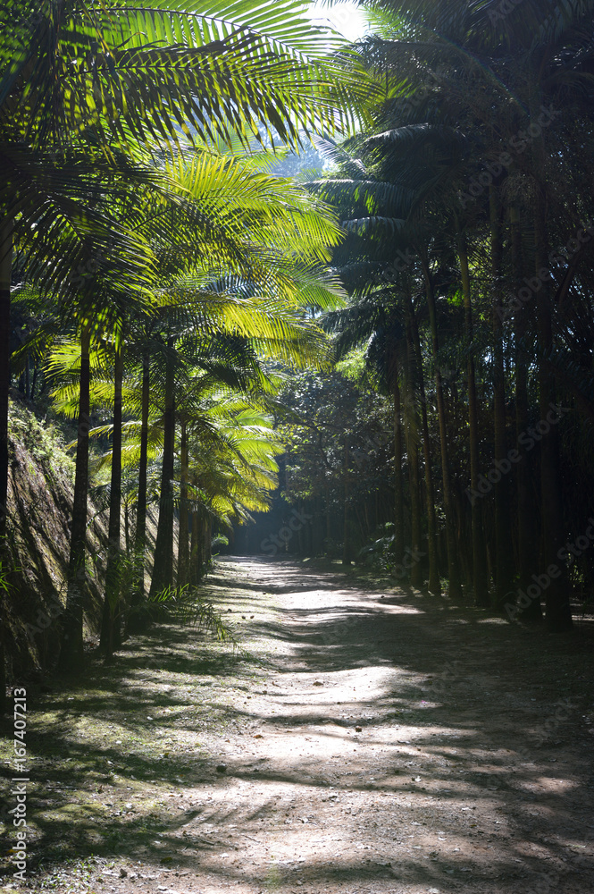 Caminho de Palmeiras Caminho de Palmeiras