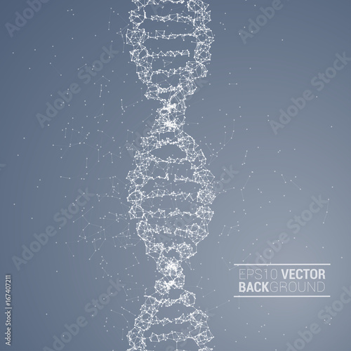 DNA molecule back