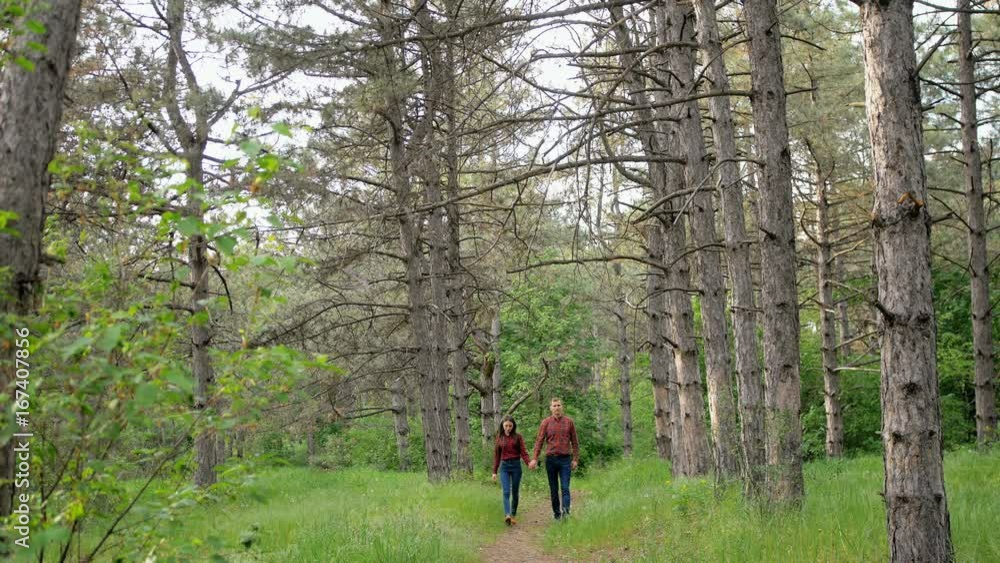 Beautiful elegant couple in love, walking in the wood, romantic date. Beautiful elegant couple in love, walking in the wood, romantic date.