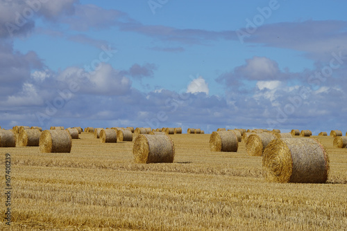 Paysage campagne 210