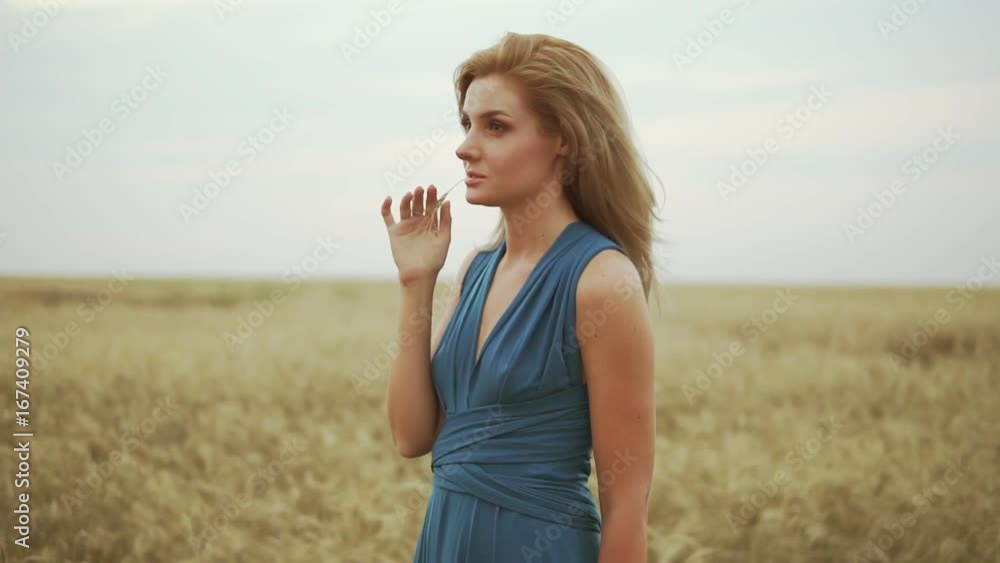 Handsome young woman in a long blue dress standing in golden wheat field trying the wheat's stem. Freedom concept. Slowmotion shot Handsome young woman in a long blue dress standing in golden wheat field trying the wheat's stem. Freedom concept. Slowmotion shot