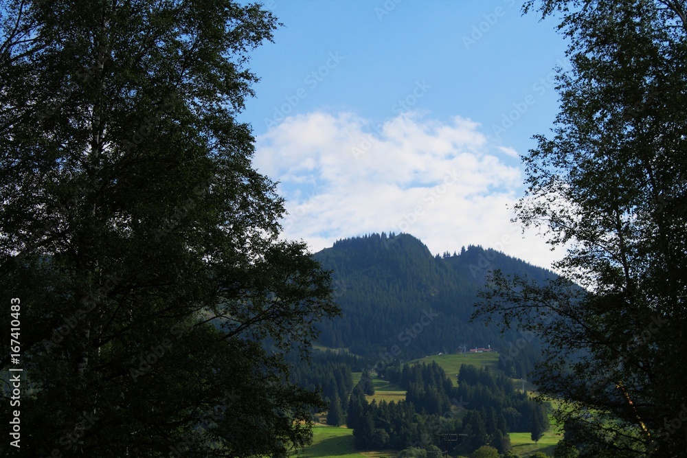 Blick durch Bäume auf die Alpspitze, Nesselwang