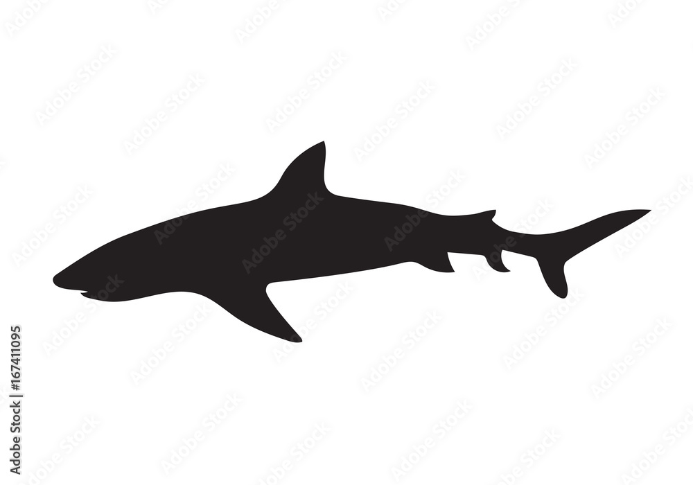 black shark silhouette- vector illustration black shark silhouette- vector illustration