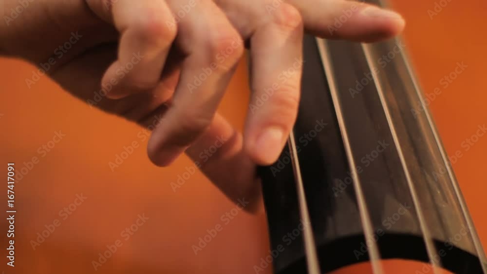 Musician playing a double bass, fingers picking the strings. Musician playing a double bass, fingers picking the strings.