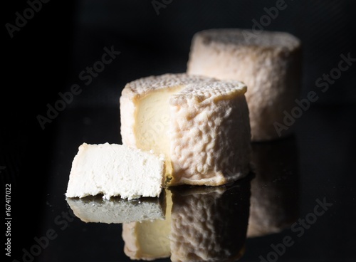 Studio shot of traditional goat cheese Chabichou photo