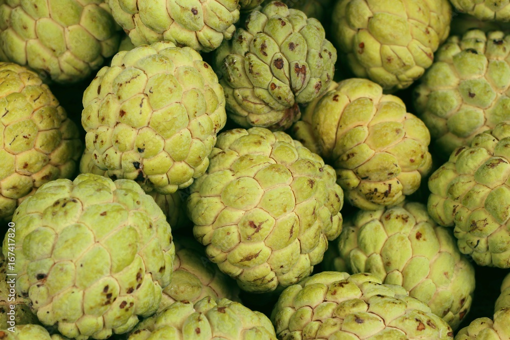 sugar apple sugar apple