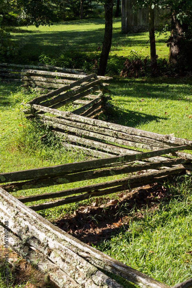 old fence in nature