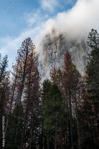 Misty El Cap