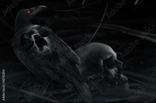 Photo of a black and white black stylized crow with skull image on a back, sitting with human skull close up composition with branch background pattern.