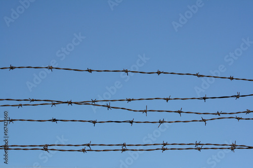 barbed wire. barb wire background, wallpaper.