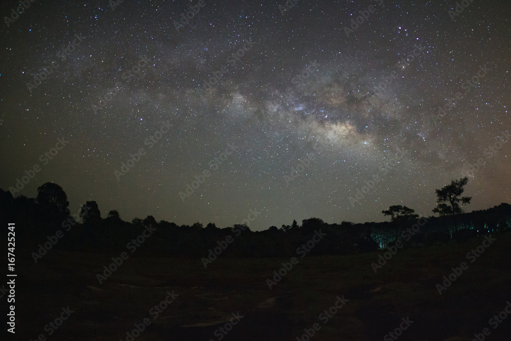 milky way galaxy and silhouette of tree with red light at Phu Hin Rong Kla National Park,Phitsanulok Thailand milky way galaxy and silhouette of tree with red light at Phu Hin Rong Kla National Park,Phitsanulok Thailand