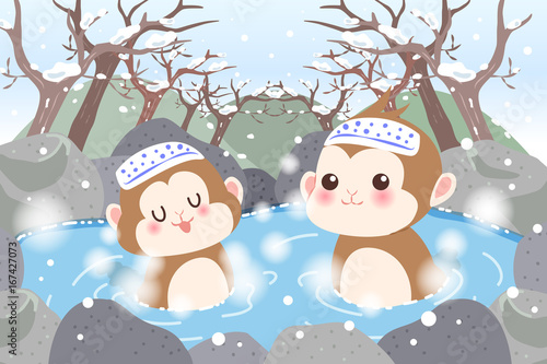 monkey with hot spring