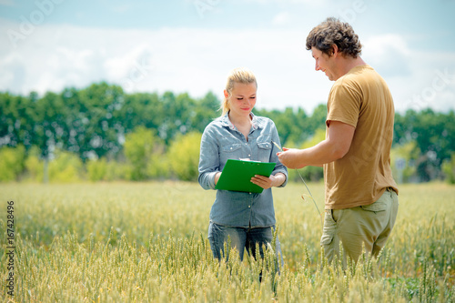 Farmer and agronomist discussing about future crop of wheat, at the field photo