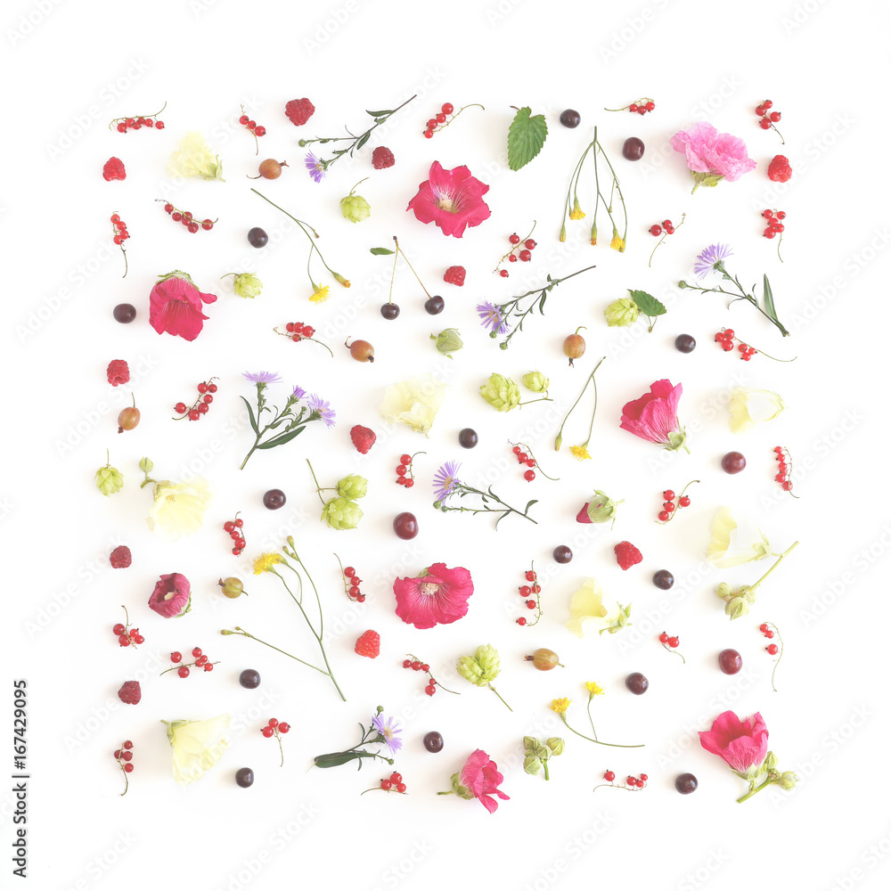 Floral and plants on white background. Frame of flowers. March 8, mother's day background. Top view, flat lay. Composition of wild flowers. Flower pattern. Floral and plants on white background. Frame of flowers. March 8, mother's day background. Top view, flat lay. Composition of wild flowers. Flower pattern.