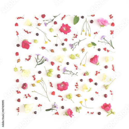 Floral and plants on white background. Frame of flowers. March 8, mother's day background. Top view, flat lay. Composition of wild flowers. Flower pattern.