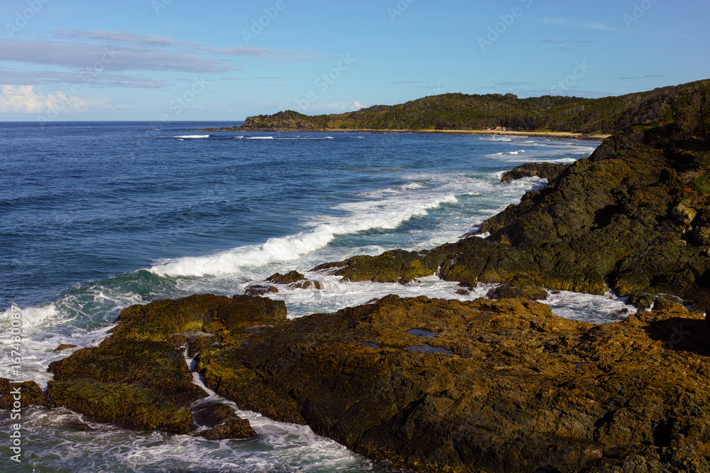 Rugged seaside with rocks and trees at Port Macquarie Australia