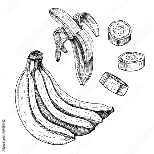 Hand drawn set of banana. Vector sketch