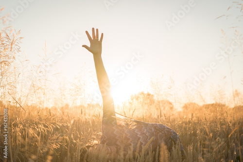 Girl in sunset light posing in field