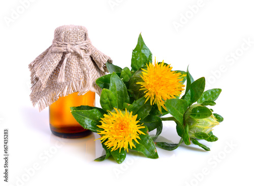 Valokuva Safflower plant with oil in the bottle.