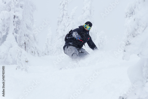 Snowboarder in forest riding down the hill