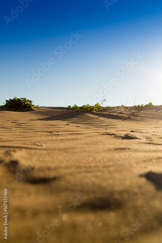 Fototapeta Naklejka Na Ścianę i Meble -  Landscape with sand in the desert as a background