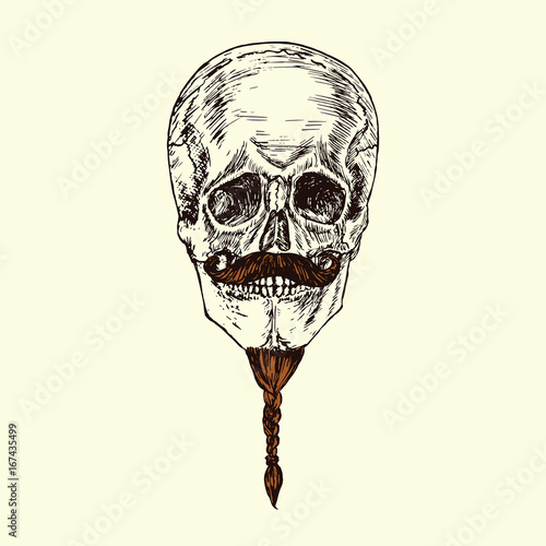 Skull with beard braided pigtail and a fancy mustache, hand drawn doodle, sketch in woodcut style, vector illustration