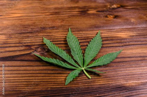Leaf of the cannabis plant on wooden table