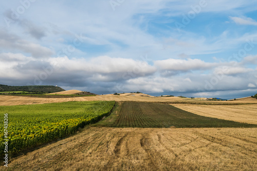 spanish field landscape